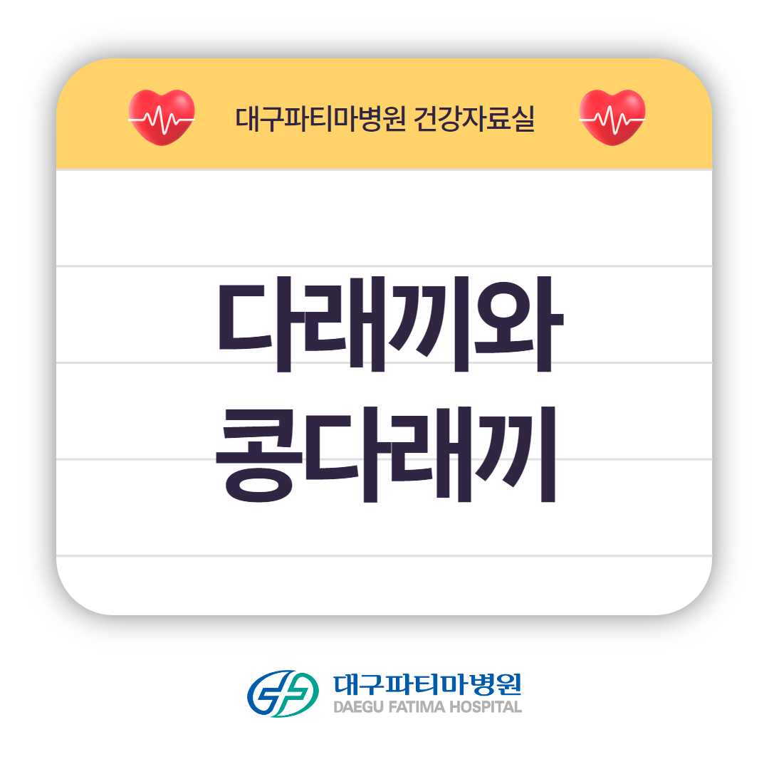 다리끼와 콩다래끼 관련이미지